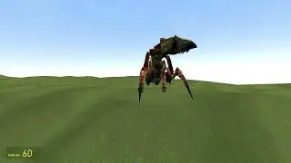 Baldi and the slightly bigger hole | Gmod