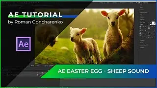 The Shortest After Effects Tutorial Ever!