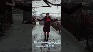 1 декабря 2023 г.
