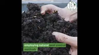 Practical Tips for Moon Phase Gardening
