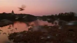 Полет на рассвете над барскими прудами