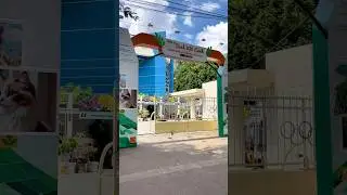 Tuần Lễ Sinh Vật Cảnh TP.HCM 2024 ( Phần 2 )  Ho Chi Minh City Ornamental Plant Week 2024 (Part 2)