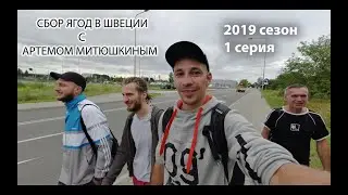 Сбор ягод в Швеции с Артемом Митюшкиным. 2019 сезон 1 серия \ Как доехать до Швеции сборщикам ягод?