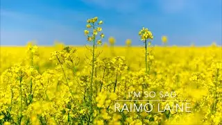 I'm so sad  - a song for Ukrainian people 2022