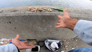 Lets Try NIGHT CRAWLERS / EARTHWORMS in Saltwater WILL IT WORK without Stockings?