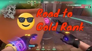 Valorant gameplay and discord with the FriendSheep