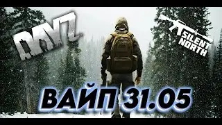 SILENT NORTH ВАЙП 31.5