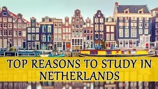 Top reasons to study in Netherlands