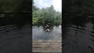 #BAM