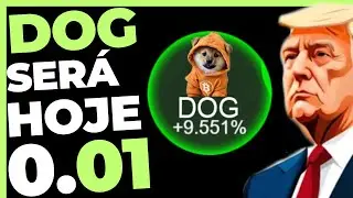 DOG GO TO THE MOON ALTA A QUALQUER MOMENTO