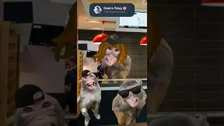 А У МЕНЯ МАЛЕНЬКИЕ.... 🙉 #барбоскины #мем #макдональдс #monkey #обезьяна #omegaland #прикол #rek #а4