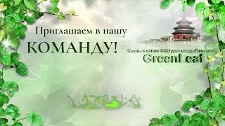 ГРИНЛИФ - Детоксикационные пластыри CARICH от GreenLeaf