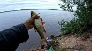 Рыбачим в Архангельской области.. Северная Двина. Первый раз ловлю на фидер. Что ловилось?