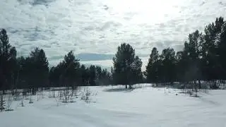 пора бы в лес с прицепом... 01. 05 .18