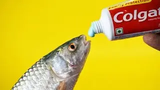 6 Toothpaste Life Hacks YOU SHOULD KNOW