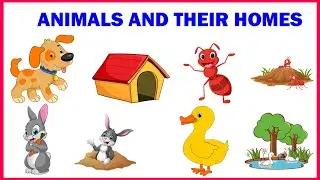 Animals and their Homes | Kids Learn Animals Homes Names | Animal Homes Vocabulary for Kids