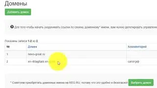 Особенности подключения кириллических доменов к сервису Trimlink PRO