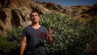 Hozan Rıdvan - Çavken (ruken)