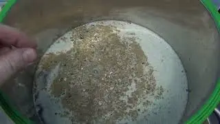 Saccharification of wheat flour with enzymes without PVC. 1 pause