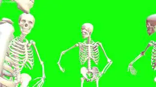 Green Screen - Skeleton Dance - 3D Animation 1080p