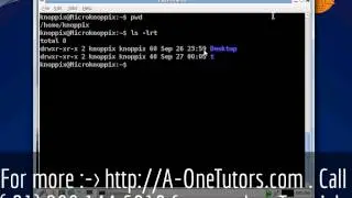 cd Command In UNIX