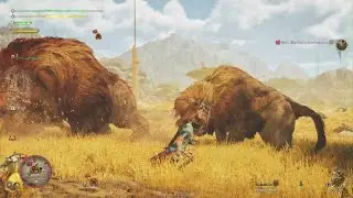 New Foresight move?