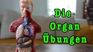 Autogenes Training lernen - richtig anfangen mit den 
