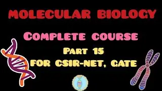WOBBLE HYPOTHESIS  | CSIR NET | GATE | IIT JAM | DBT | NEET | ICMR | MSC | B.SC