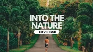 Into the nature 🥰Scenic Relaxation Film with Peaceful Relaxing Music and Nature Video Ultra HD