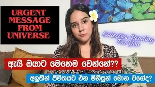 අවවාදයයි! බොරුවට හිතල කරදර වෙන්න එපා! ලොකු දෙයක් වෙන්නයි යන්නේ Collective Tarot Reading Sinhala