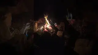 Happy New Year!