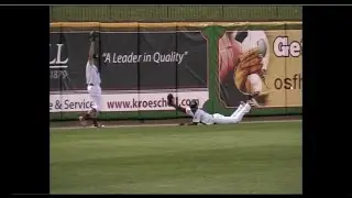Magneuris Sierra Diving Catch