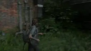 Last of us 2. Элли. День 2. Хиллкрест