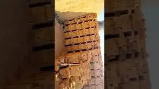 #tazbrickz