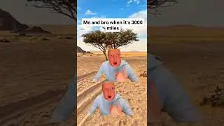 #meme