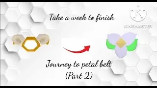 Journey to petal belt (part 2)