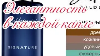 Аромат Baldessarini Signature шикарный кожаный запах Покупка вслепую весьма удачная