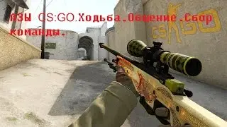 Основы CS:GO.Ходьба.Общение.Сбор команды.