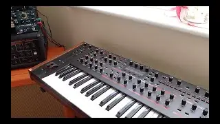 DSI Pro 2 & Source Audio Collider