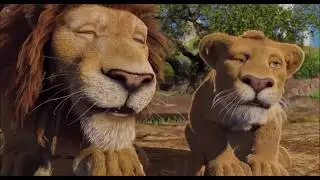 The Wild Secret Life Of Pets  For You I Will