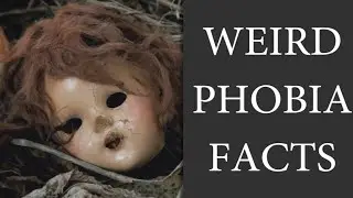 Weird Facts About Phobias