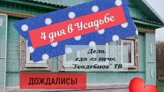 Полгода ожиданий! Дождались!!! А ещё дела, еда из печи и Усадебное ТВ