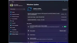 2023-08 Cumulative Update Preview for .NET Framework 3.5 and 4.8.1 for Windows 11, version 22H2 for