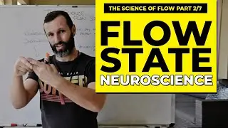 Neuroscience of Flow State (The Science of Flow Part 2/7)