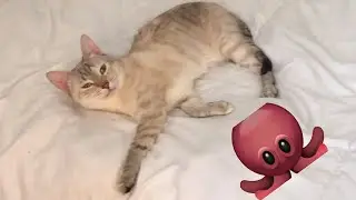 She's enjoying sleeping on bed