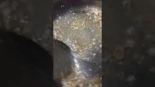 Firik Pilavı (Sıralı Kebap)