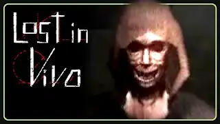 Looking for my Dog | Lost in Vivo [1]