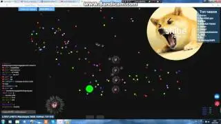 ЧАШКА ПЕТРИ №1 Я ВЕРНУЛСЯ)!!