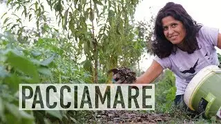 PACCIAMARE, PERCHÉ È COSÌ IMPORTANTE | ORTO