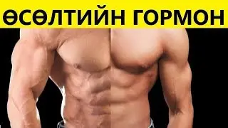 Өсөлтийн даавар яаж нэмэгдүүлэх вэ?